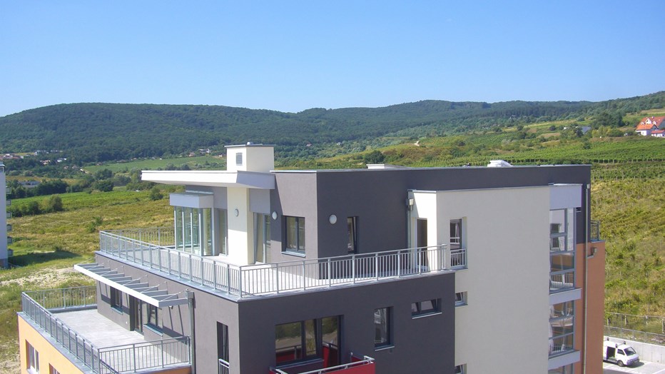 Rača Vineyards Rača Vineyards