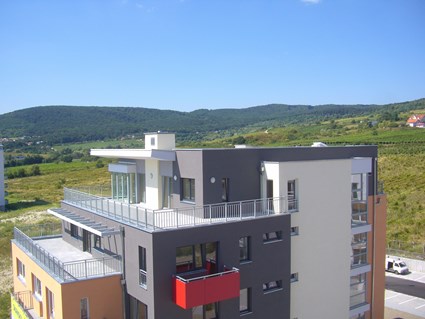 Rača Vineyards