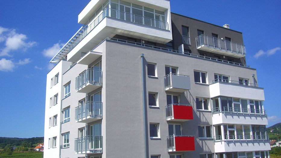 Rača Vineyards Rača Vineyards