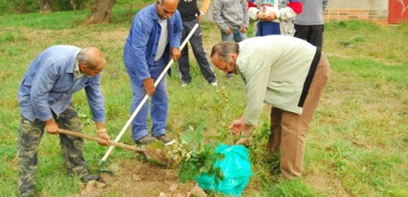 Image Image